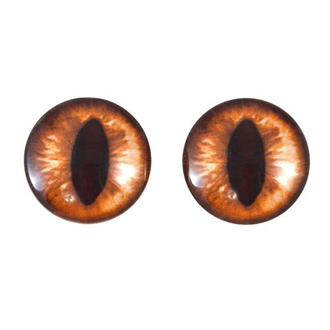Amber Cat Glass Eyes – Handmade Glass Eyes