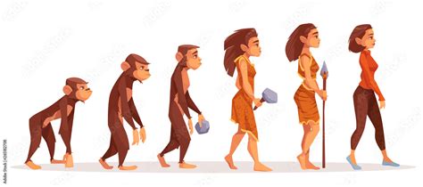 Human evolution from monkey to woman isolated on white background ...