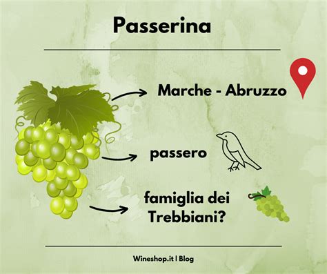 Passerina Vitigno E Vini Blog Wineshop It