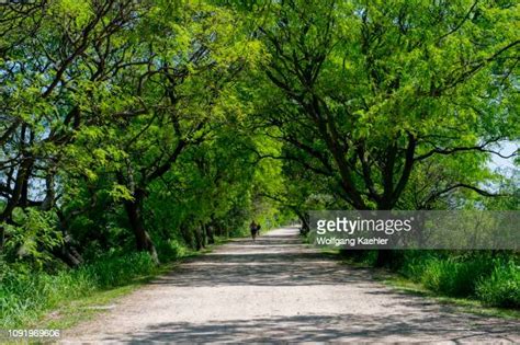 Costanera Sur Ecological Reserve Photos And Premium High Res Pictures