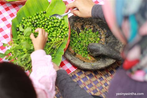 Menginap Di Kto Sari Alam Ciwidey Lebih Dekat Dengan Tanaman Obat