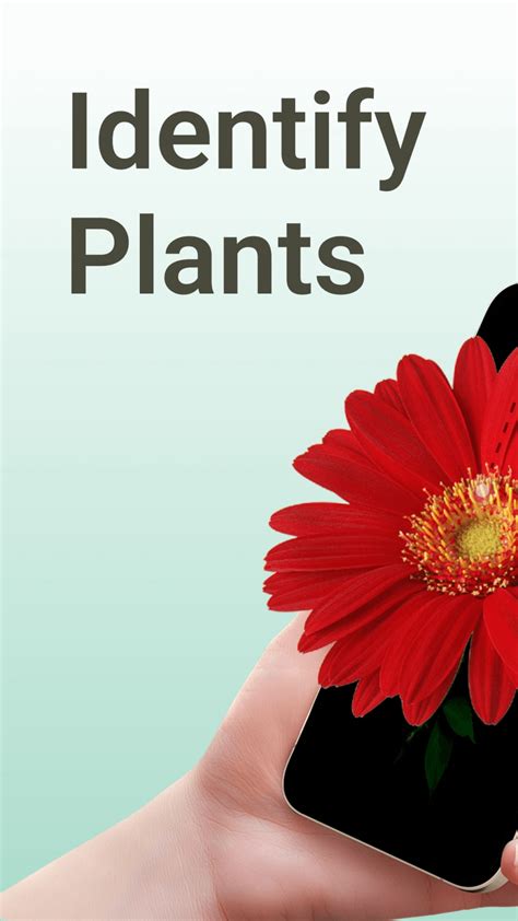 Plant Identifier App Plantiary for iPhone - Download