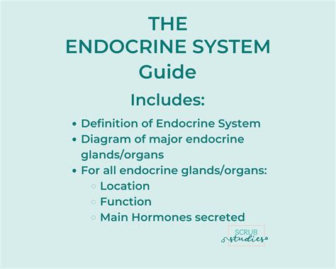 Endocrine System Study Guides 2