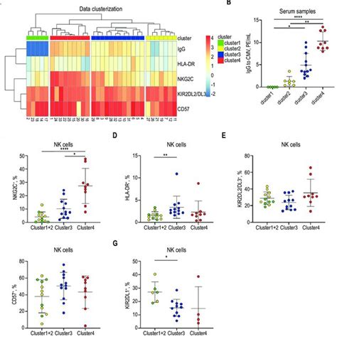 Clustering Analysis Of The NK Cells Phenotype In HCMV Infection Note