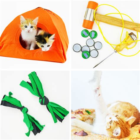 Diy Cat Toy Online Ideas