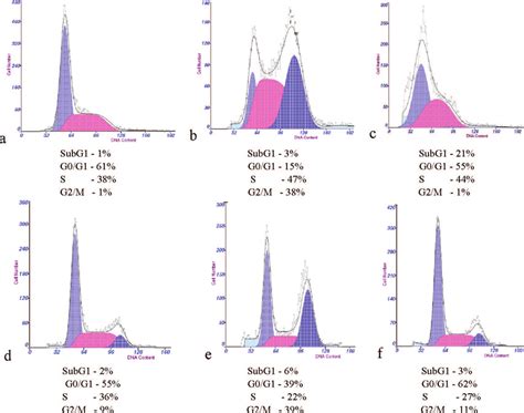 Cell Cycle Distribution And Subg1 Peak Demonstration A Hela Cell Download Scientific Diagram