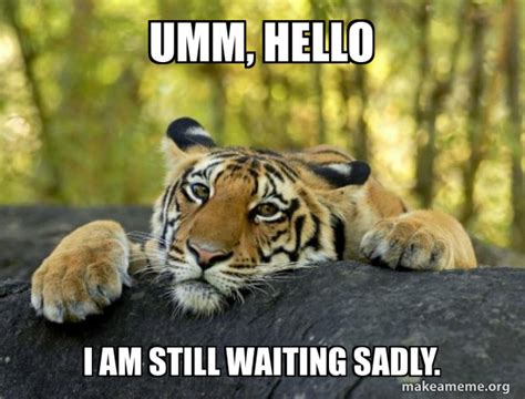 Umm Hello I Am Still Waiting Sadly Confession Tiger Make A Meme