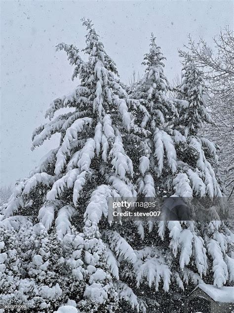 Picture Of Measurable Snow Of The 20232024 Snow Season In New York City