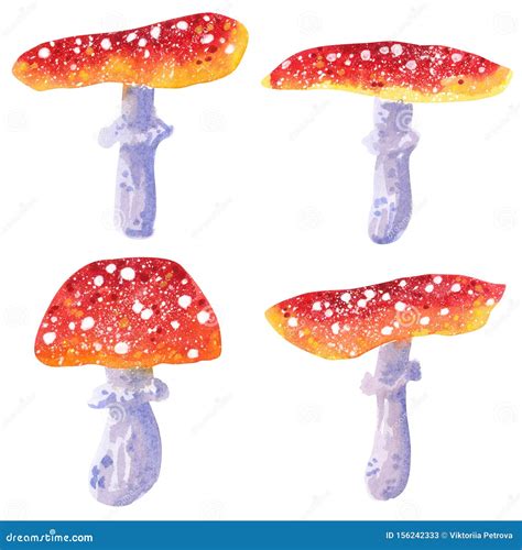 Poisonous Mushrooms Amanita Muscaria Hand Drawn Watercolor Illustration Stock Illustration