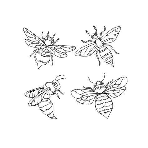 Bee Hand Getrokken Doodle Illustraties Vector Set Premium Vector