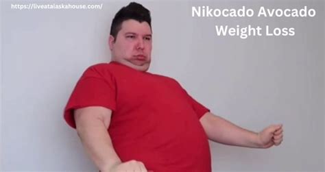 Nikocado Avocado Weight Loss Everything You Need To Know