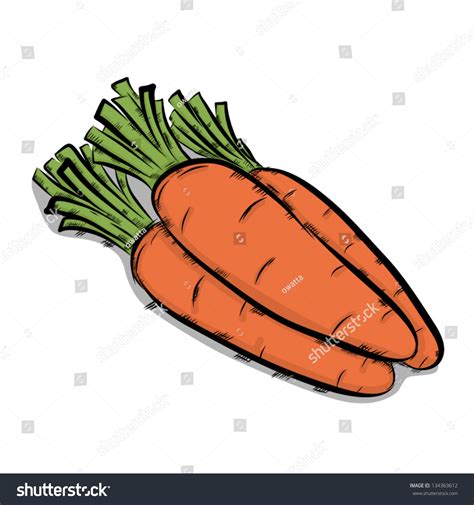 Illustrations Now Three Carrots Vector Cartoon Isolated On Stock