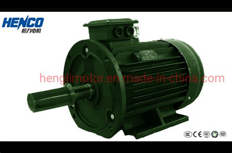 Ye2 Series Electric Motor High Speed High Efficiency Three Phase