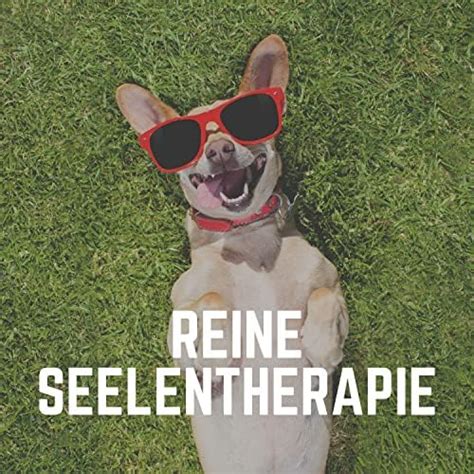 Play Reine Seelentherapie by Hundemusik Beruhigende Musik für Hunde