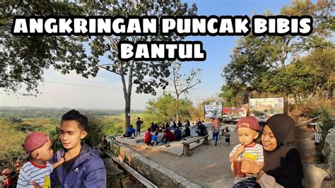 PUNCAK BIBIS ANGKRINGAN VIRAL DI BANTUL YOGYAKARTA YouTube