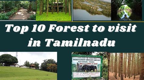 Forest Top 10 Forests To Visit In Tamil Nadu Tamil Nadu Forest