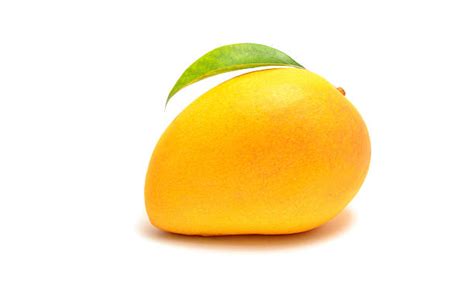 67400 Yellow Mango Stock Photos Pictures And Royalty Free Images Istock