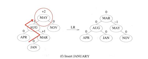 data structures - AVL tree rotation example clarification - Stack Overflow