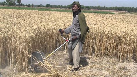 Wheat Cutting Tool Youtube