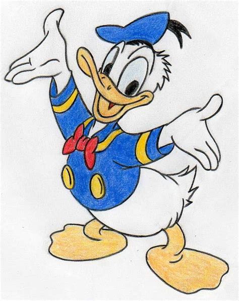 Learn to draw donald duck | Drawing cartoon characters, Disney ...