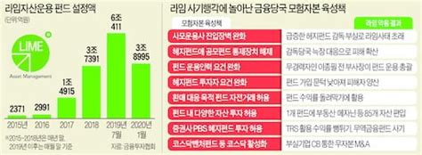 금융사기극 라임 사태에 놀란 당국무늬만 사모펀드 원천 차단 종합 네이트 뉴스