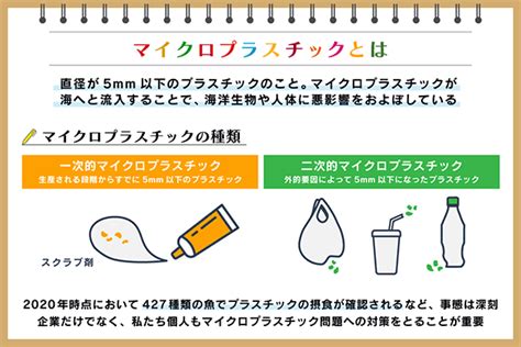 マイクロプラスチックとは？ 種類や人体への影響、問題と対策を解説：朝日新聞sdgs Action