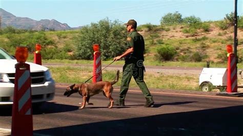 Agente De Patrulla Fronteriza Con K Inspeccionando Los Coches En El