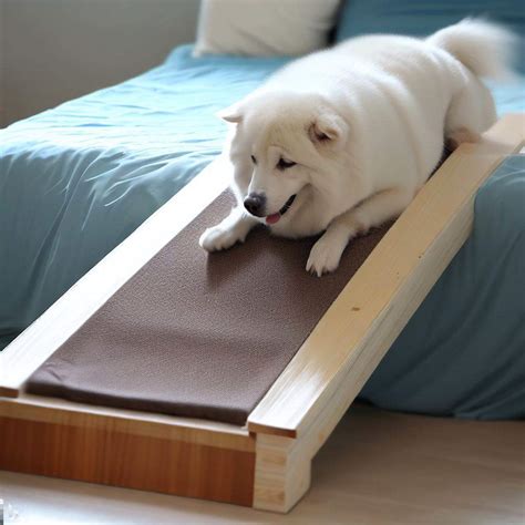 Discover the Best Dog Ramp for Beds: 10 Quality Solutions for Easy ...