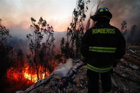 Onemi Registra Once Incendios Forestales A Nivel Nacional Y Mantiene