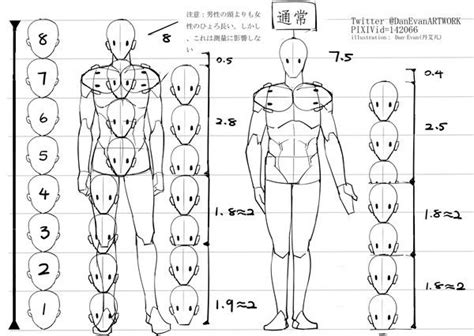 Pin By Hikari Sweets On Moe Manga Tutorials How To Draw Anime Diagram Anatomy Art