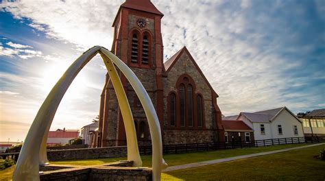 Visita Islas Malvinas El Mejor Viaje A Islas Malvinas América Del Sur Del 2024 Turismo Con