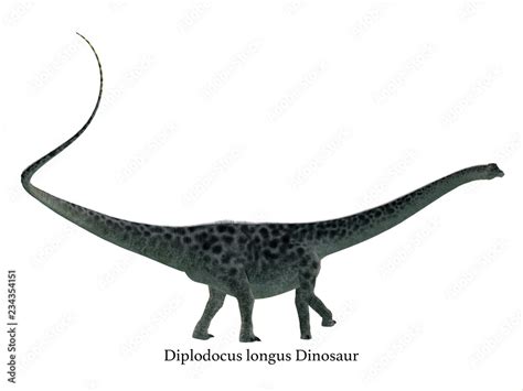 Diplodocus Dinosaur Side Profile With Font Diplodocus Was A Sauropod Herbivorous Dinosaur That