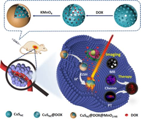 Tumor Microenvironment Induced All In One Nanoplatform For Multimodal