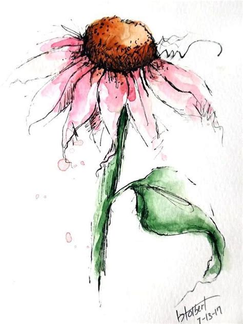 Explore Collection Of Pen And Ink Watercolor Flowers Watercolor