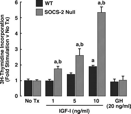 Effect Of Gh And Igf I On Dna Synthesis In Intestinal Myofibroblasts