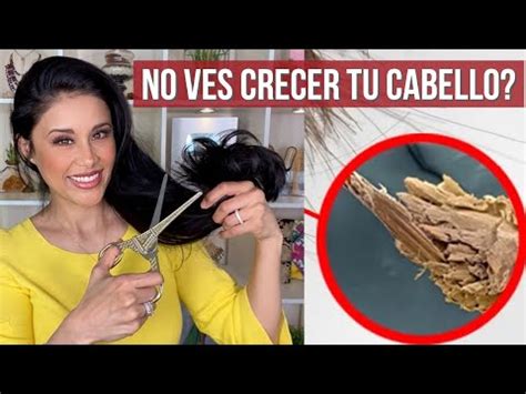 Por qué se florecen las puntas del pelo Descubre las causas y soluciones