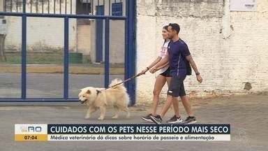 Bom Dia Amaz Nia Ro Aten O Donos De Pets Veterin Ria D Dicas