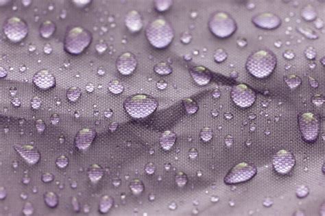 Download Water Droplets Macro | Free Stock Photo and Image | Picography