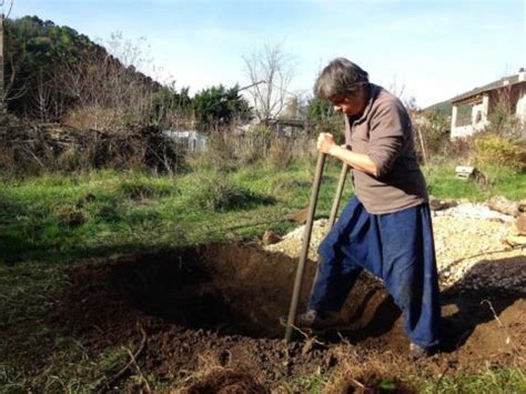 Une Mare Naturelle Au Jardin Visites Et M Thodes Le Potager Permacole