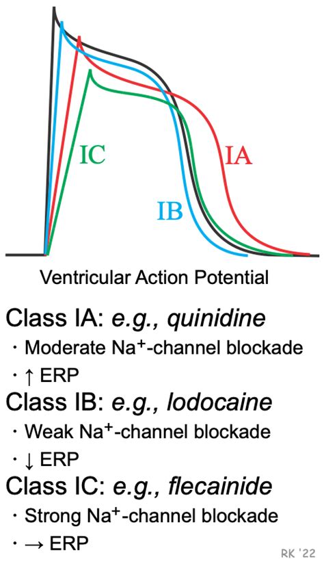 Cv Pharmacology Class I Antiarrhythmics Sodium Channel Blockers