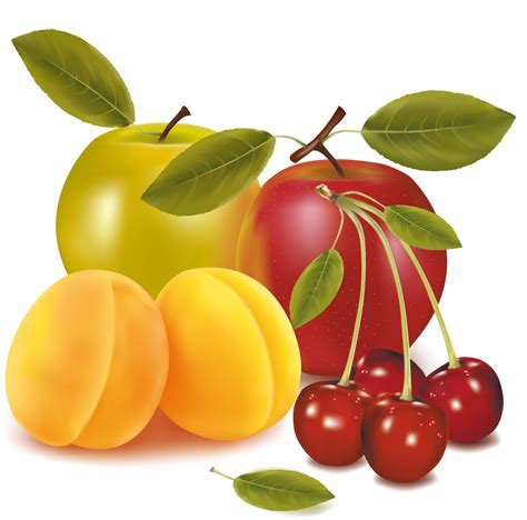 Fruit Drawing Clip art - fruits png download - 931*921 - Free ...