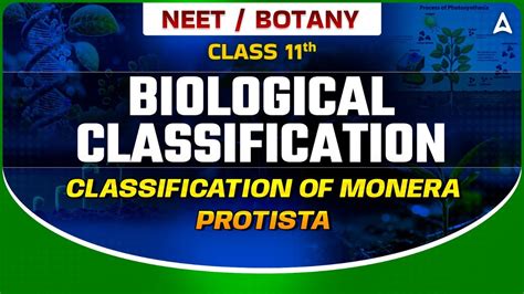 Biological Classification Class 11 Classification Of Monera Protista Botany By Sankalp