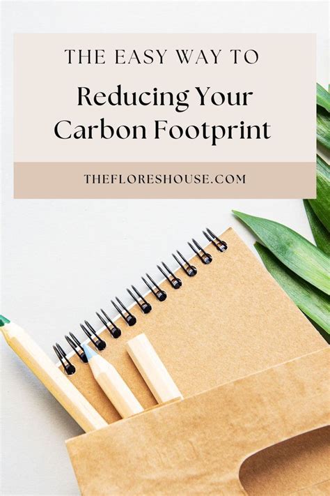 Reduce your carbon footprint with 13 simple habits – Artofit