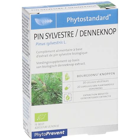 Phytostandard Pin Sylvestre 20 Pc S Redcare Pharmacie