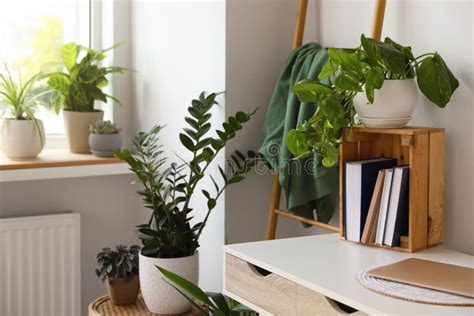 Interior De Oficina En El Hogar Con Diferentes Plantas De Hogar Foto De