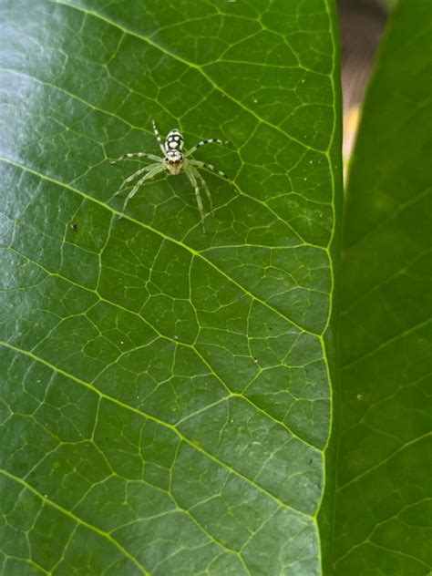 2022 Guam Nwr Photo Contest Winners Us Fish And Wildlife Service