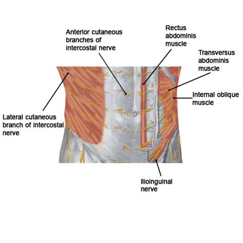 Chronic Abdominal Wall Pain | Pain Treatments | Pain Spa, Bristol, UK