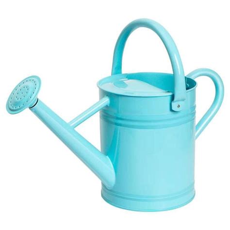 Dyiom 1 Gal Metal Plant Light Blue Watering Can For Outdoor Plants