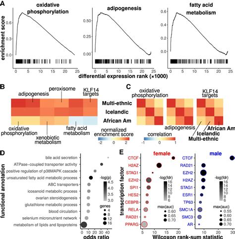 Sex Differences In Human Adipose Tissue Gene Expression And Genetic