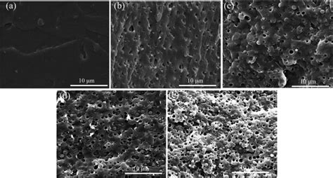 Sem Images For The Cryo Fracture Surface Of Various Pla Samples A